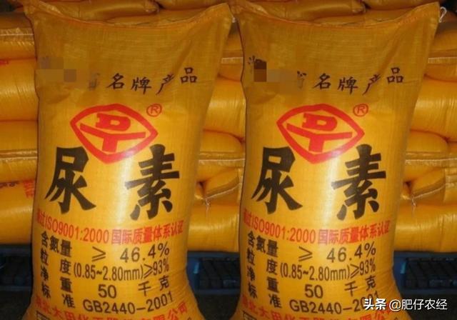 尿素漲價，農民用不起，農資店不賺錢，尿素有替代品嗎？