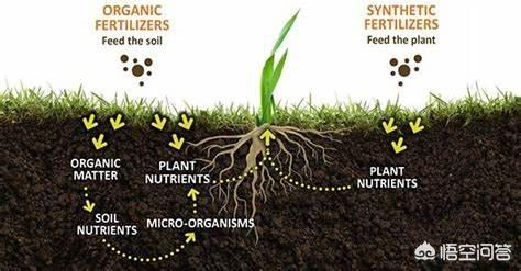 化肥中的氮磷鉀是無機元素，那么無機元素作用在植物中，和有機元素會有什么不同？