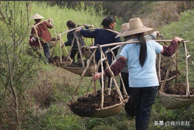 什么是有機肥，有機肥和化肥有什么區別，國家為什么鼓勵有機肥？