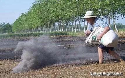 草木灰與購(gòu)買的有機(jī)肥混拌用于底肥(基肥)使用，怎么樣？